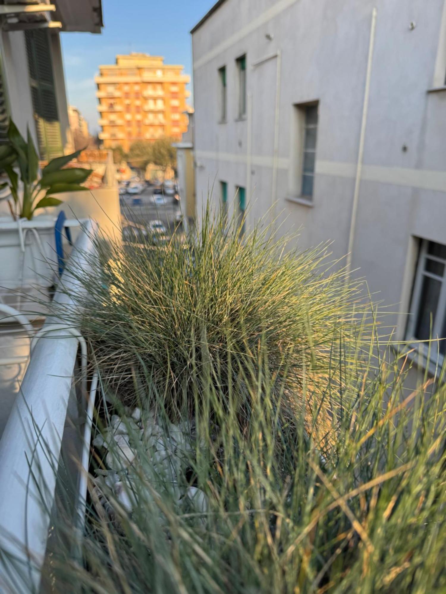 Okra Apartment Pescara Centro Luaran gambar